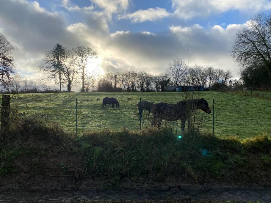 Gite " La Petite Maison" Livry  ภายนอก รูปภาพ